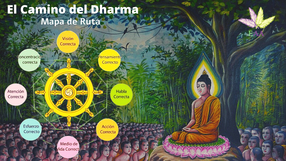 Curso Camino al  Dharma